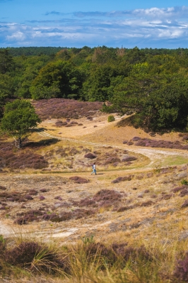 Bergerbos12.jpg