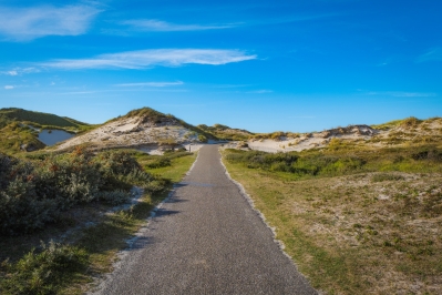 BergenaanZeeduin3.jpg