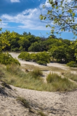 Bergerbos24.jpg