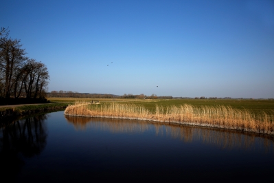 Polder.jpg