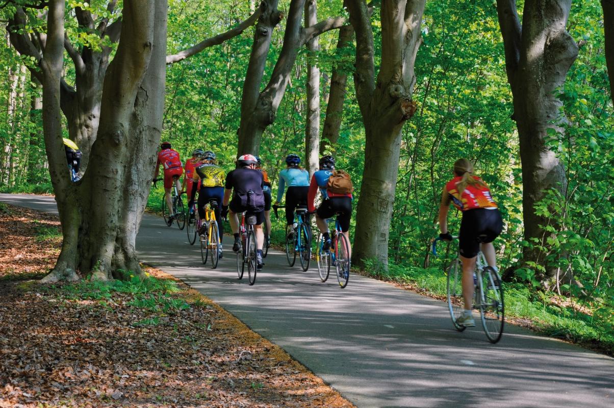 Fietsen & wandelen Egmond