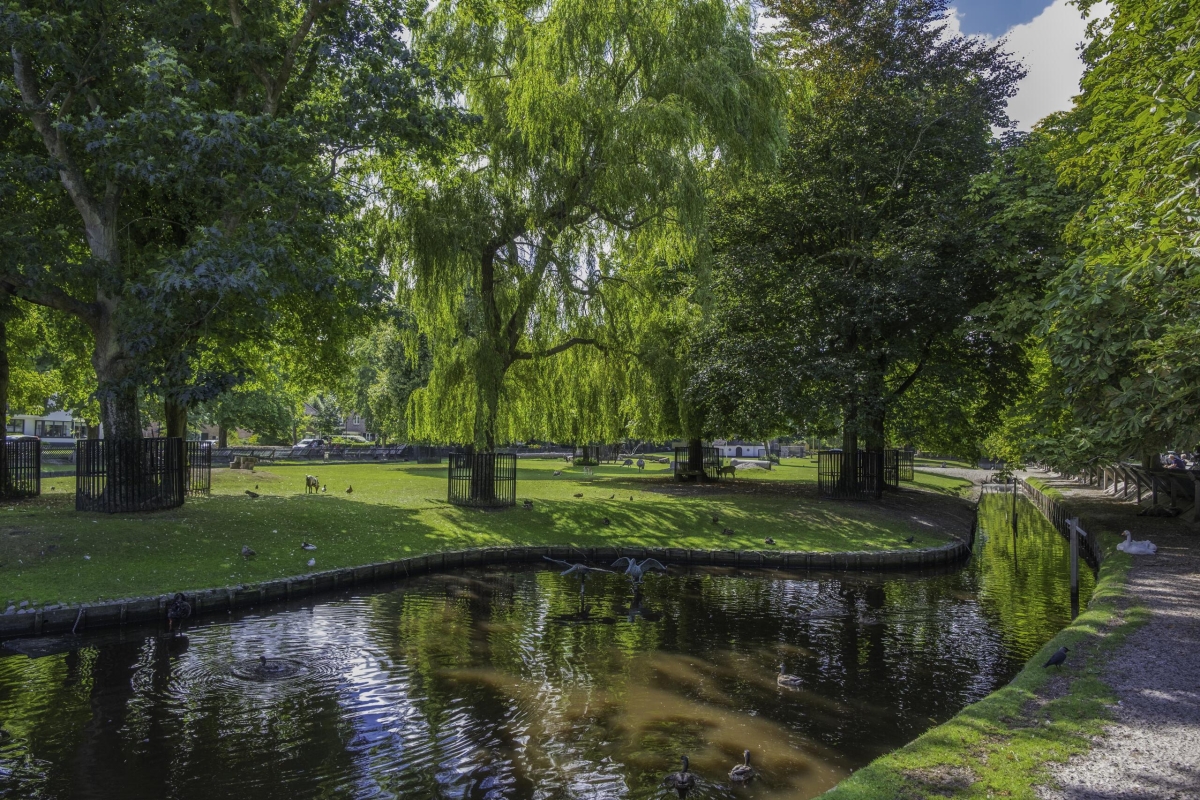 Campagnes Bergen Marketing