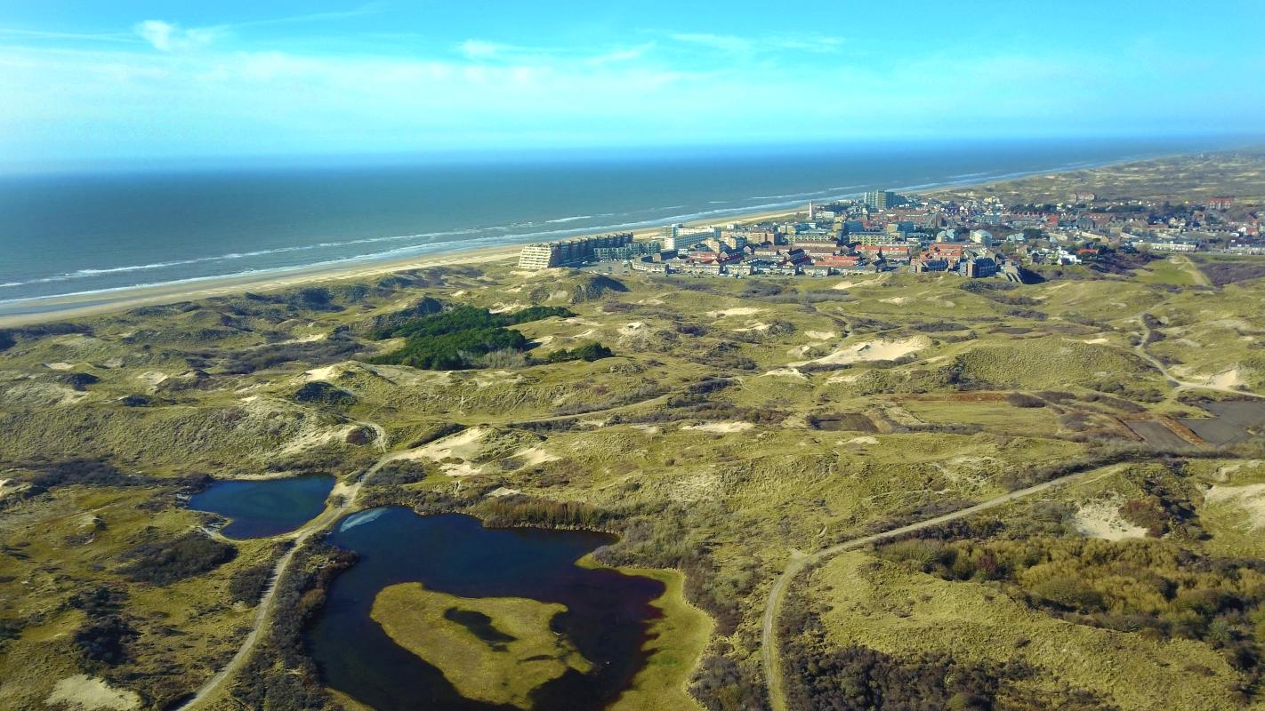 Bergen, Egmond, Schoorl & Castricum in het nieuws