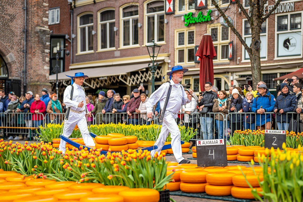 Tulpenkaasmarkt Alkmaar